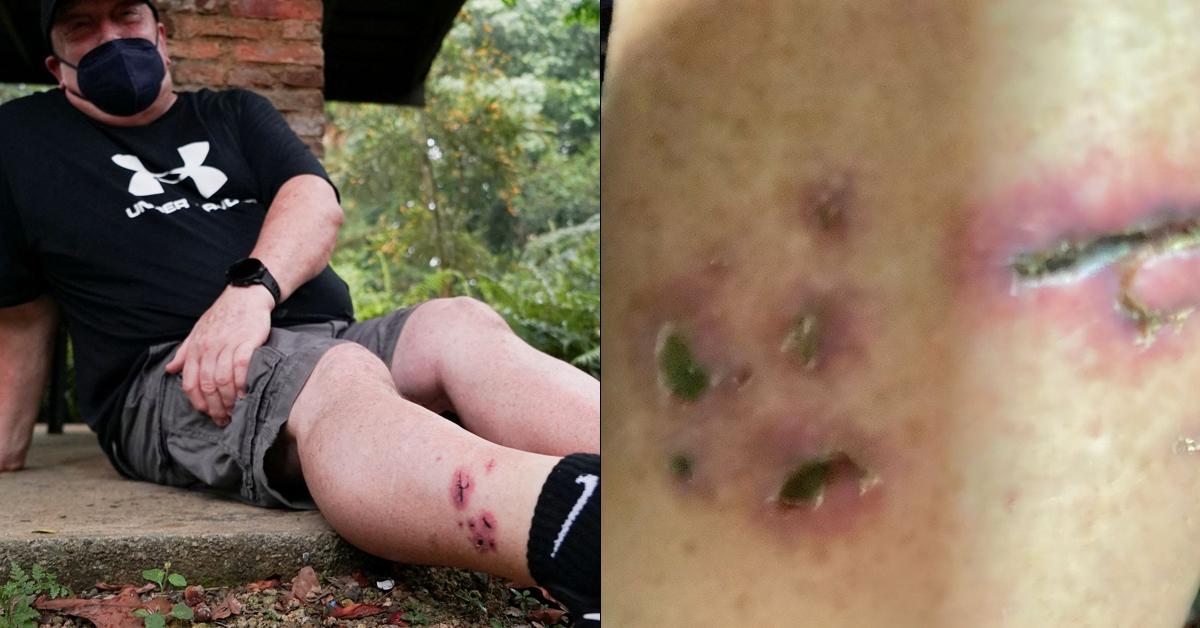 A description of the image