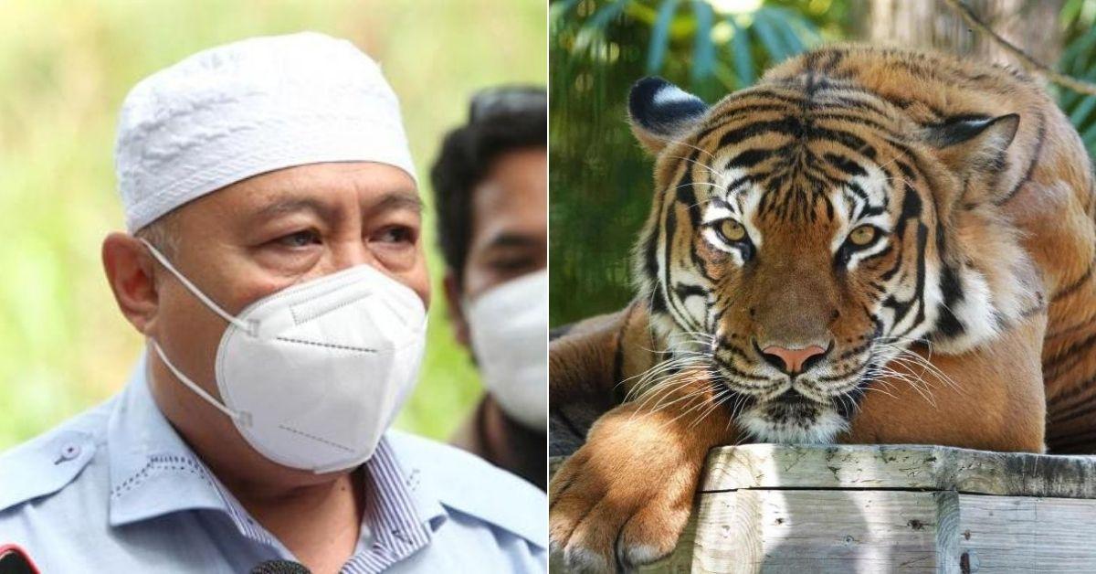 A description of the image