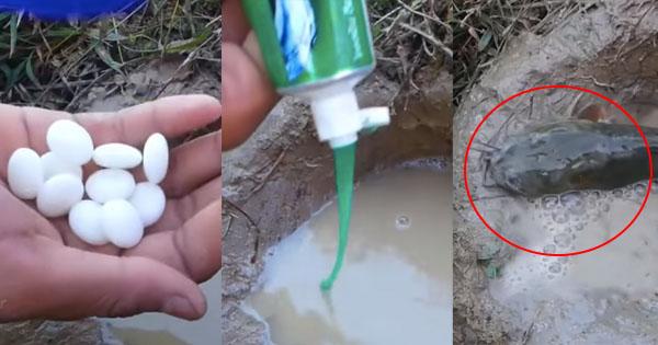 A description of the image