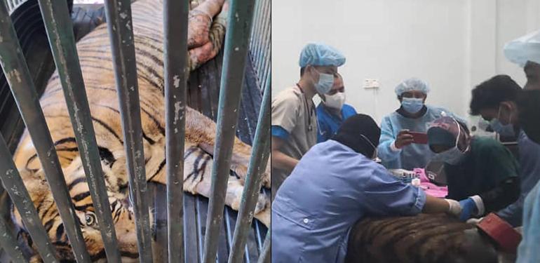 A description of the image