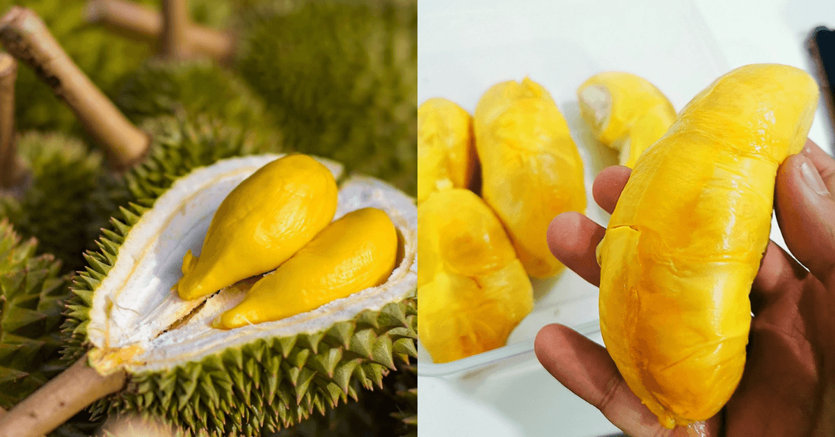 A description of the image