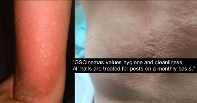 A description of the image