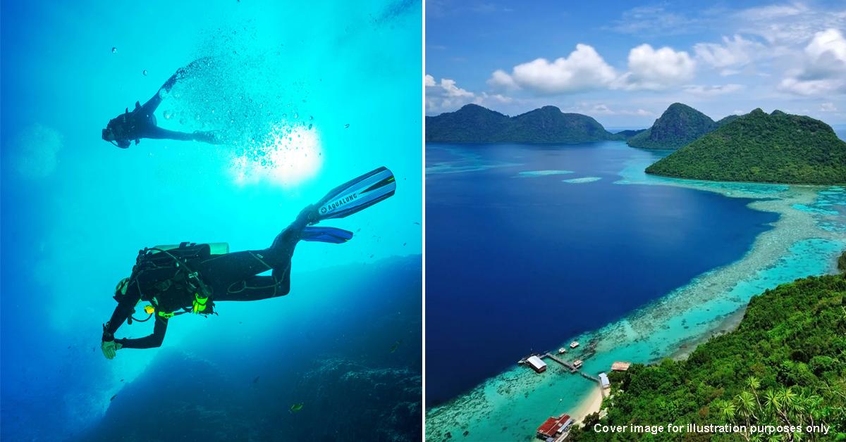 A description of the image