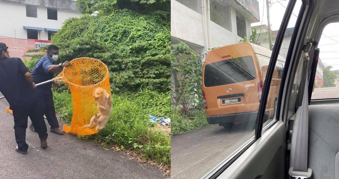 A description of the image