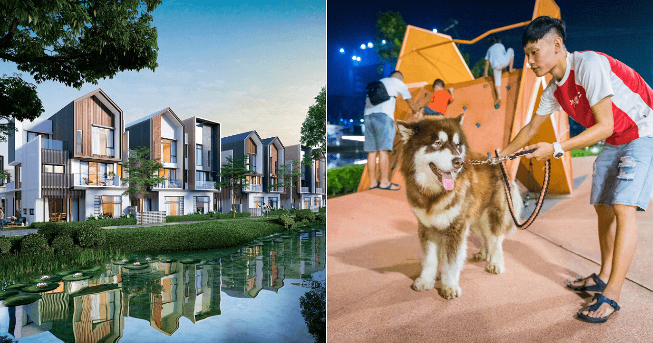 A description of the image