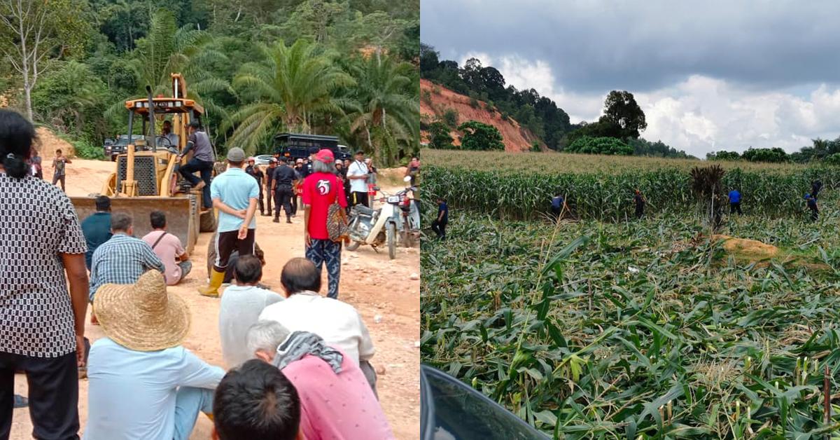 A description of the image