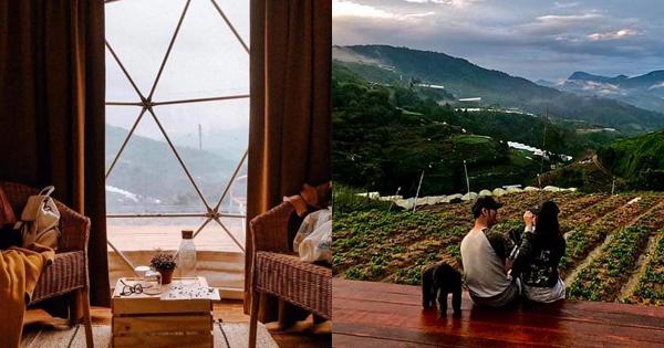 A description of the image