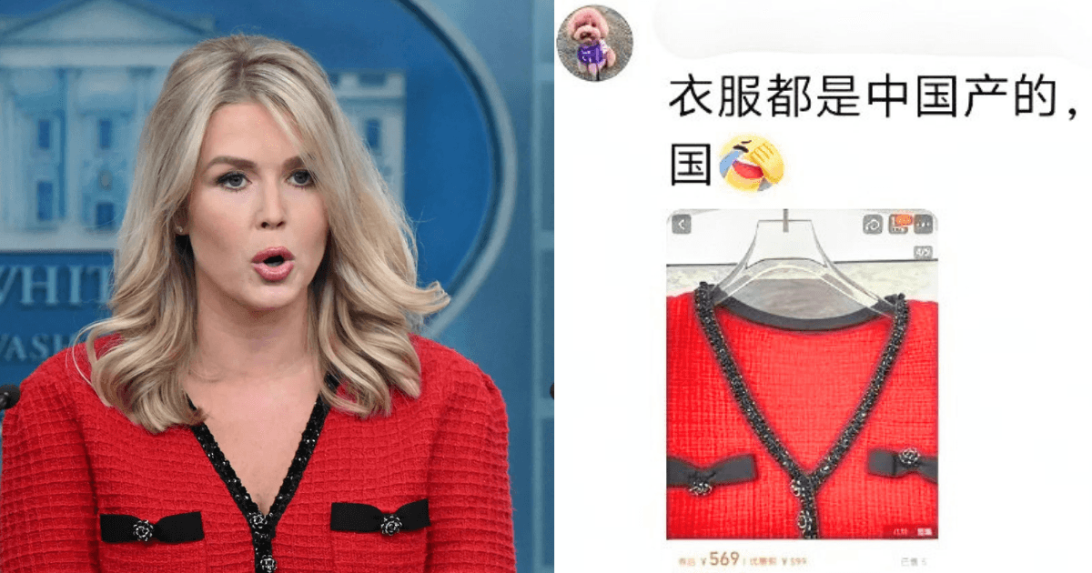 A description of the image