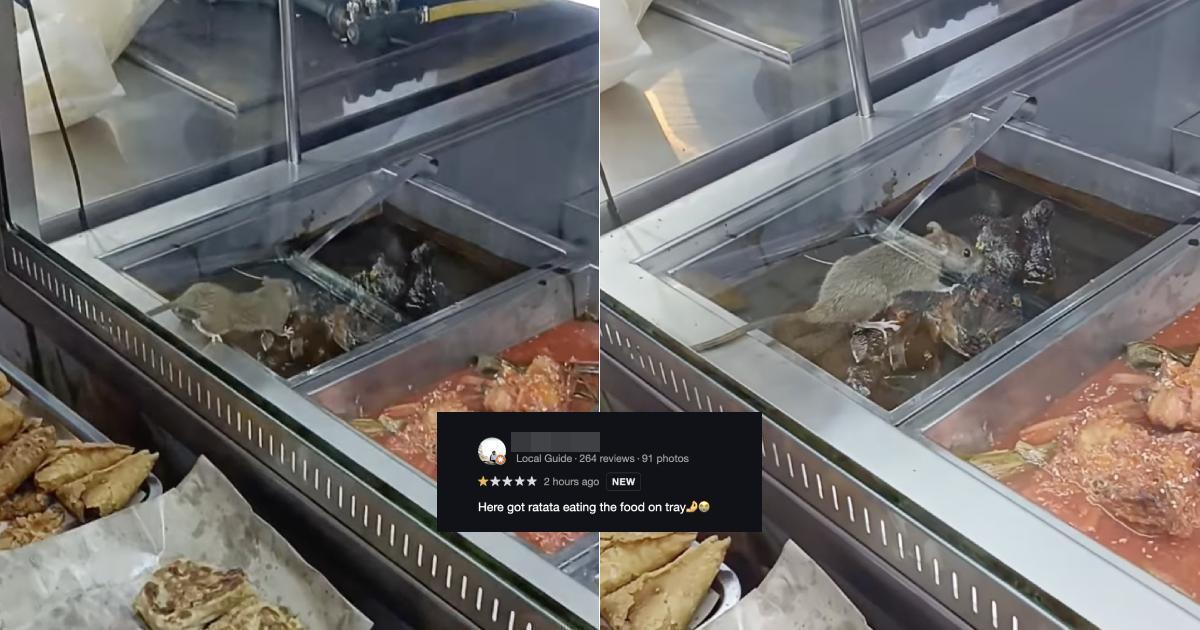 A description of the image