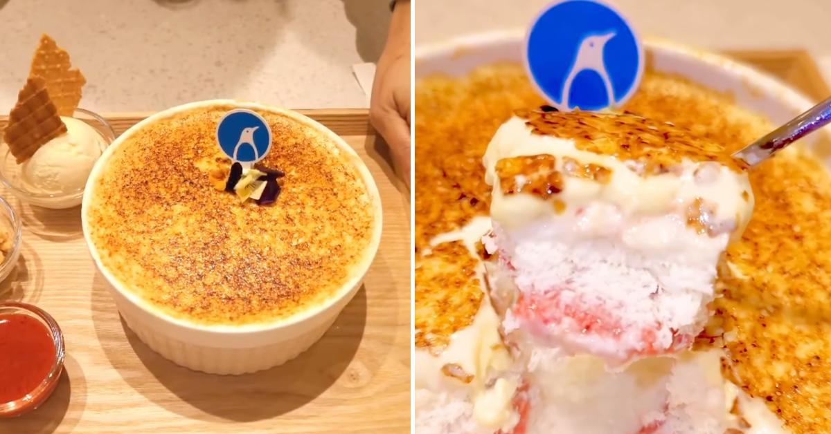 A description of the image