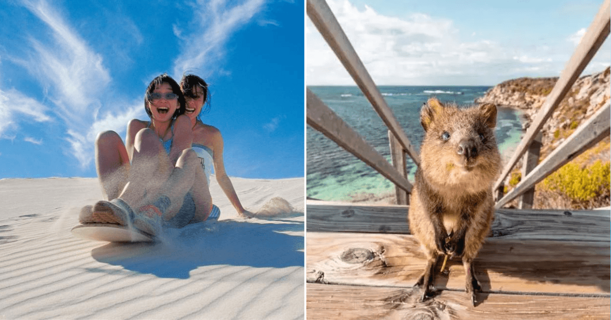 A description of the image