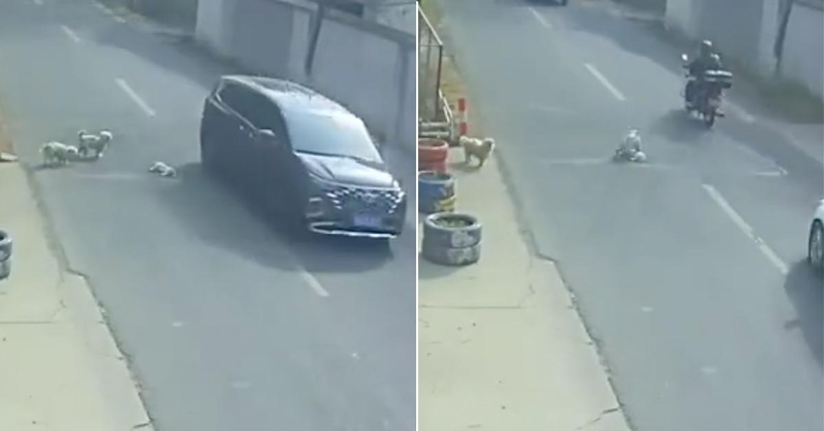 A description of the image