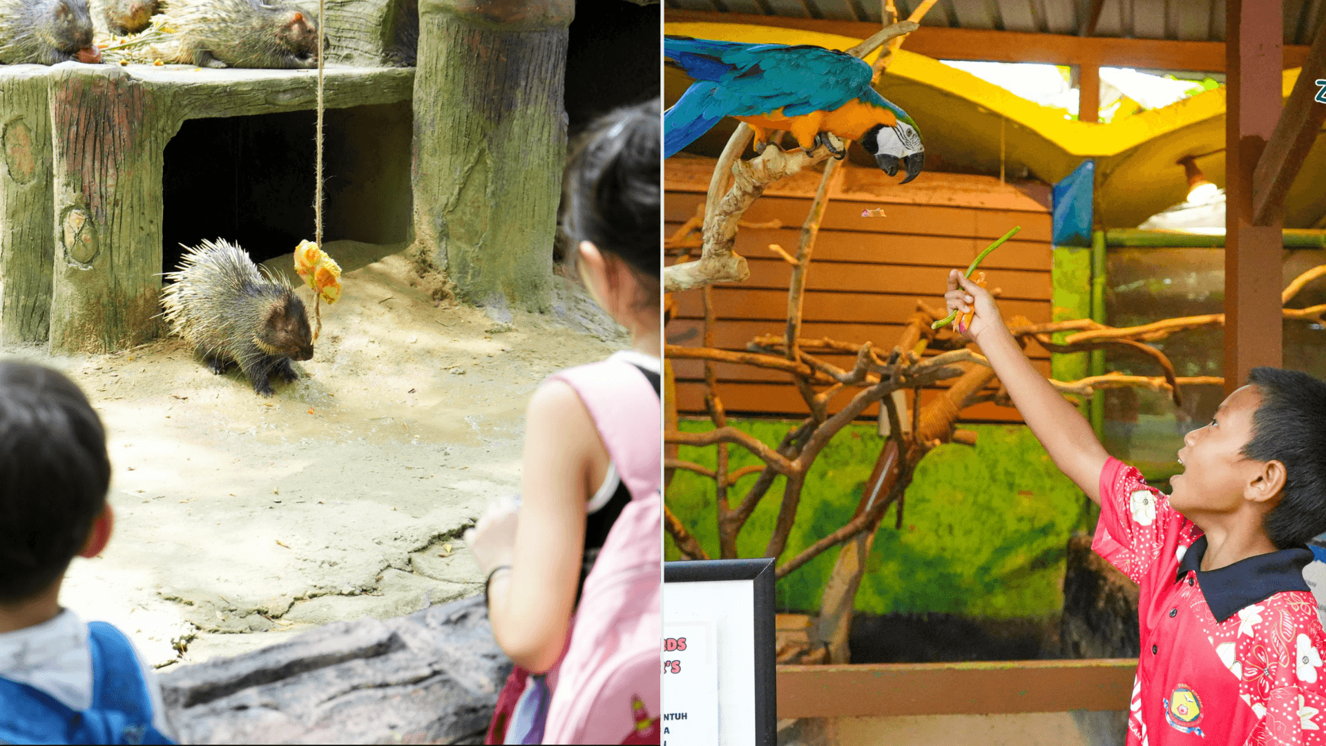 A description of the image