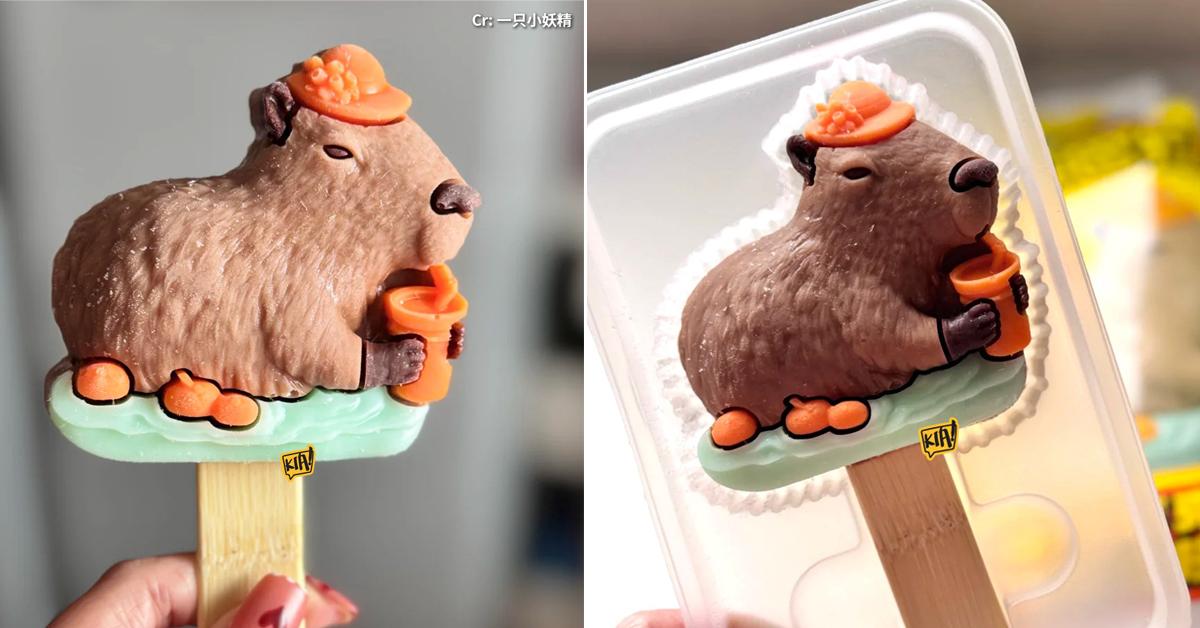 A description of the image