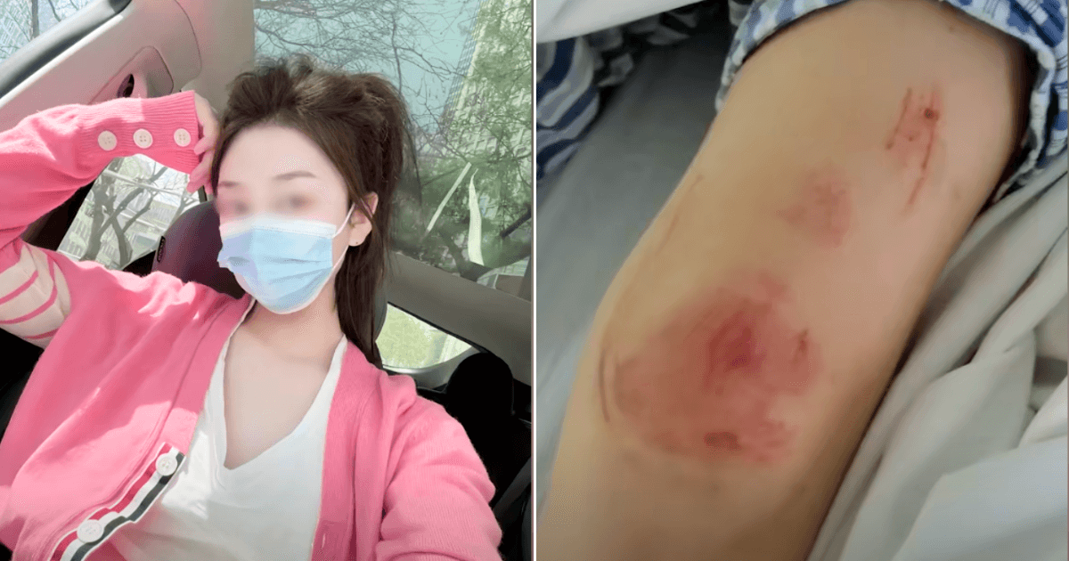 A description of the image