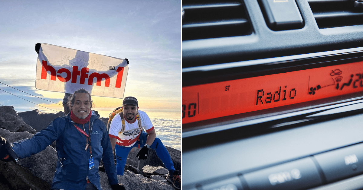 A description of the image