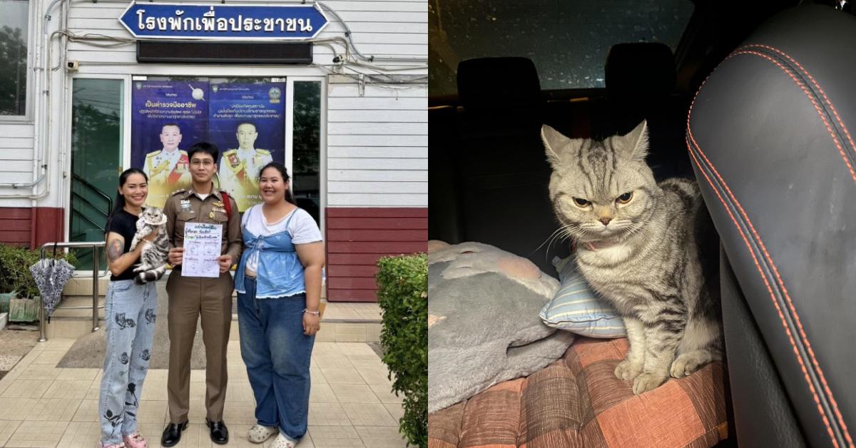 A description of the image