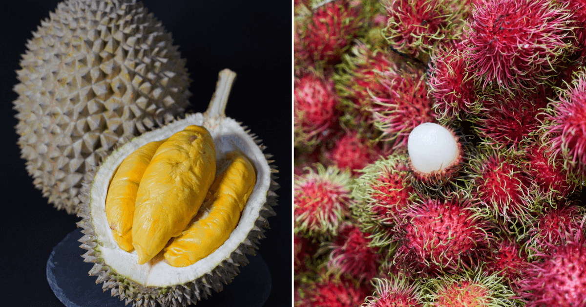 A description of the image