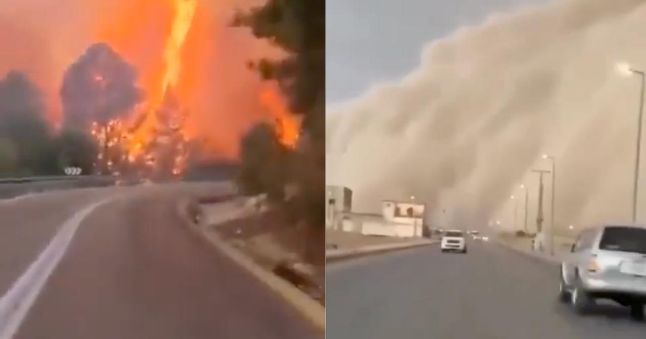 A description of the image