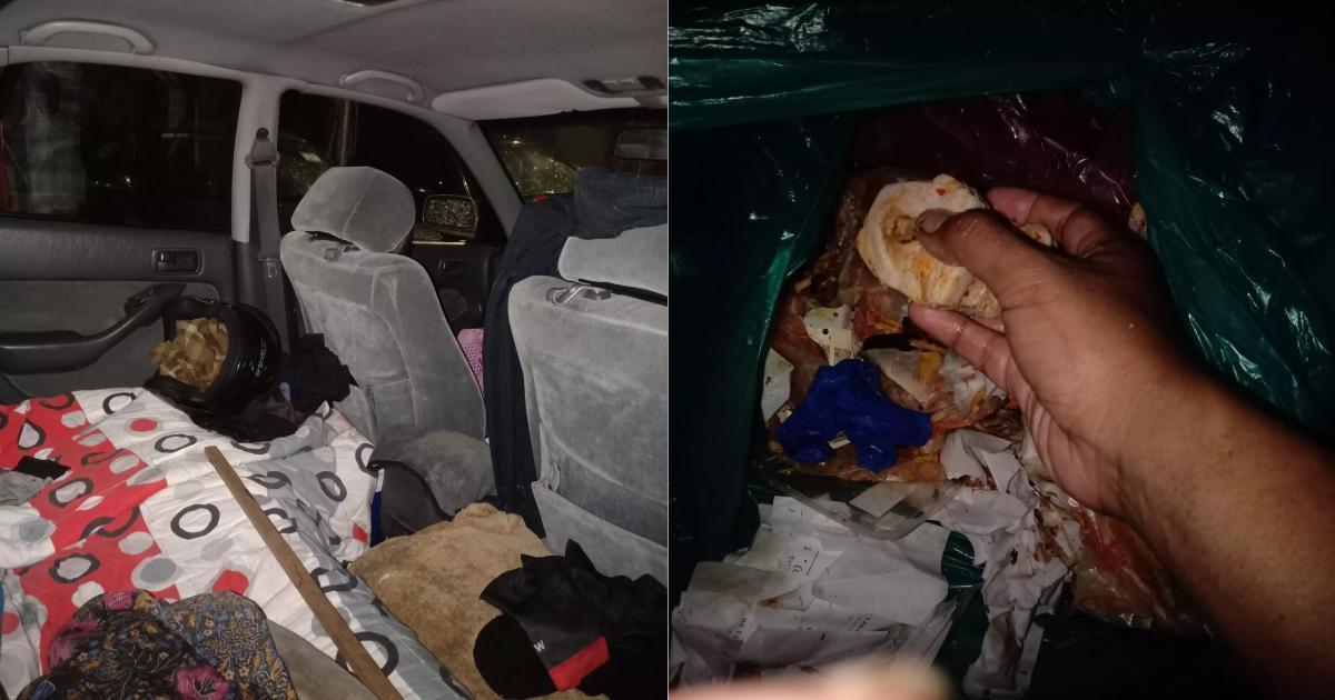 A description of the image