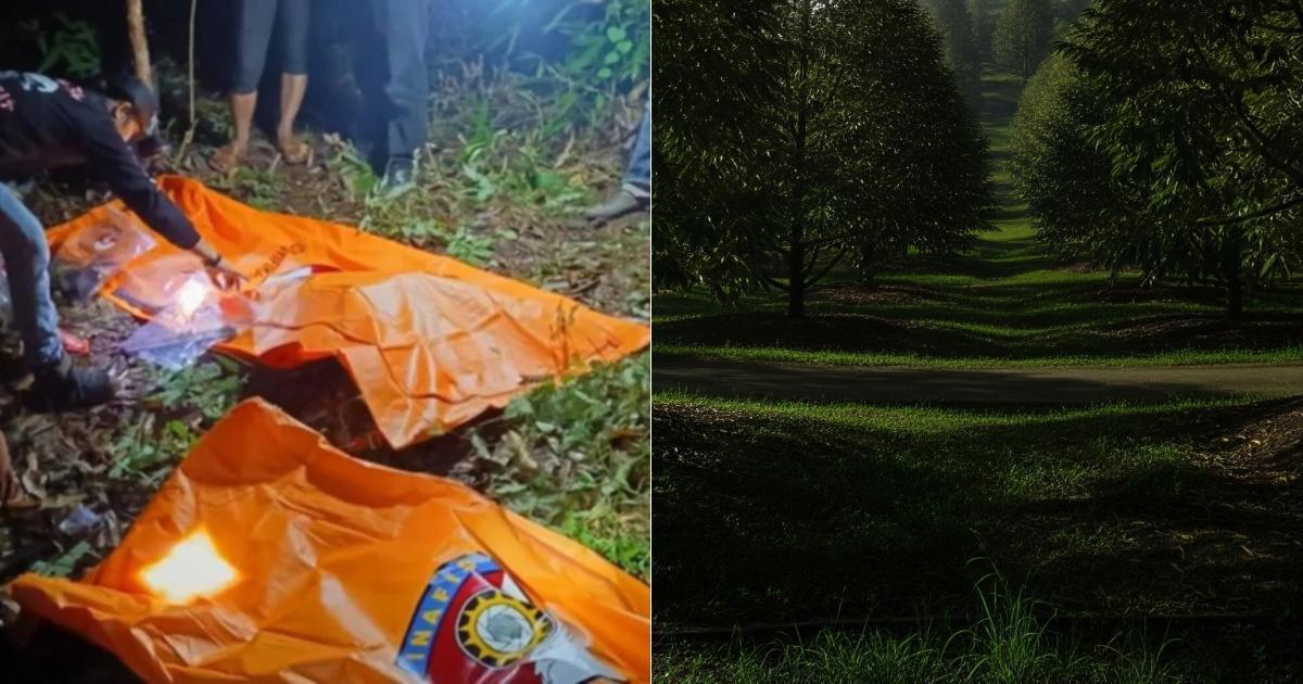 A description of the image