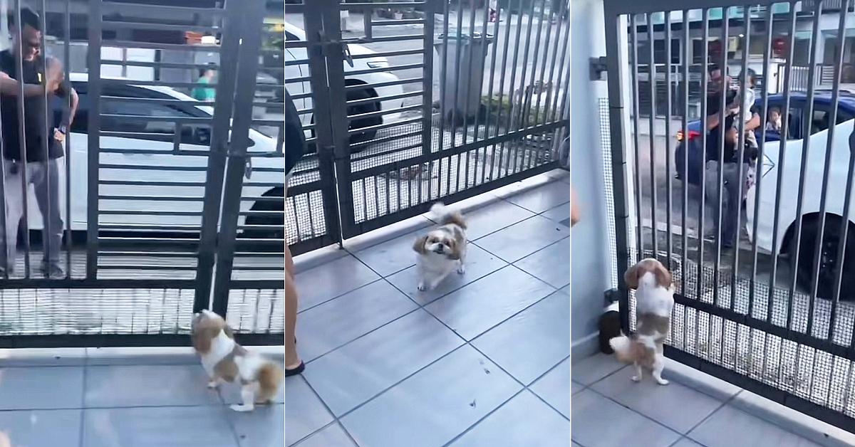 A description of the image