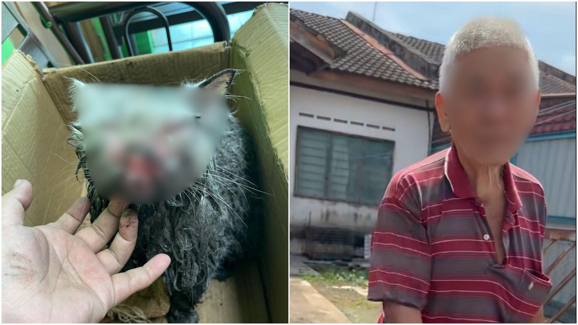 A description of the image