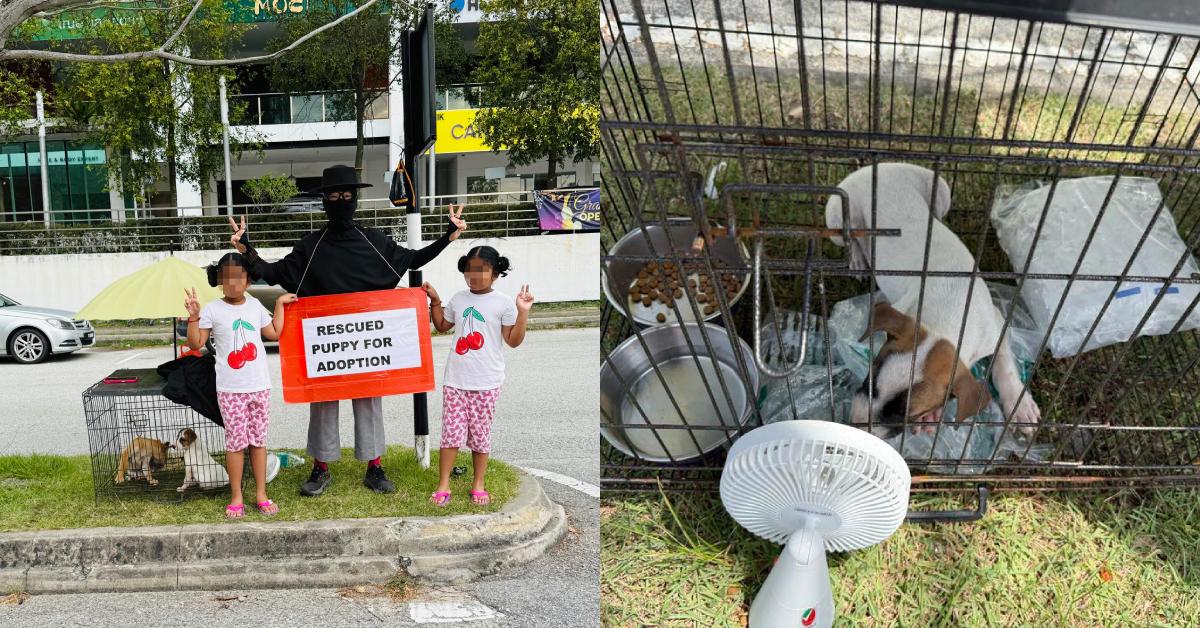 A description of the image