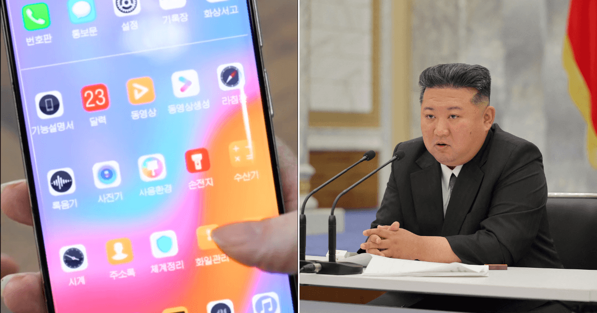 A description of the image