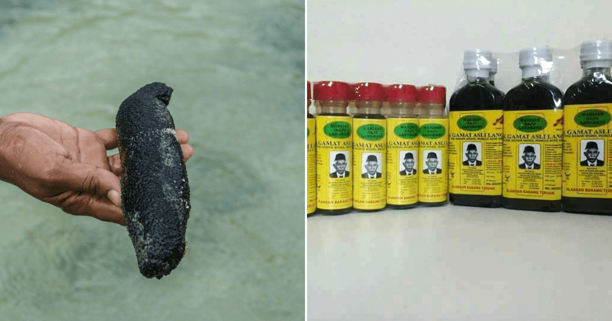 A description of the image