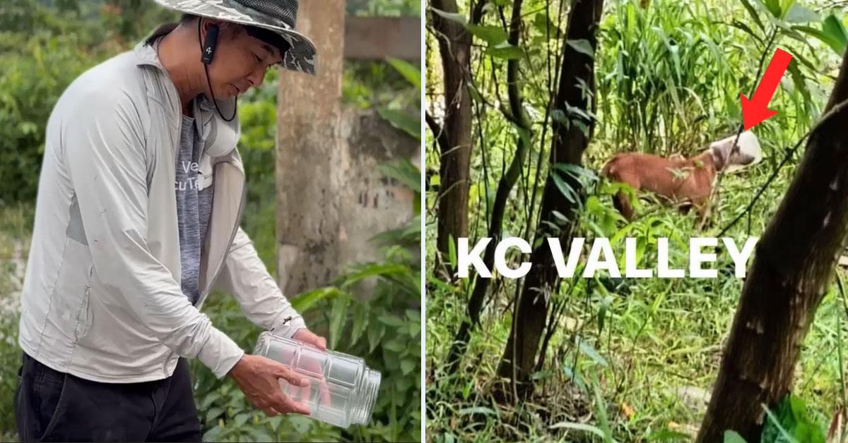 A description of the image