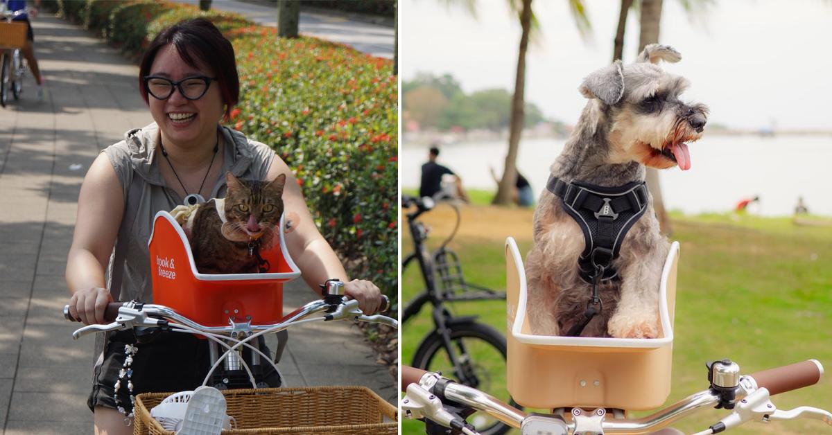 A description of the image