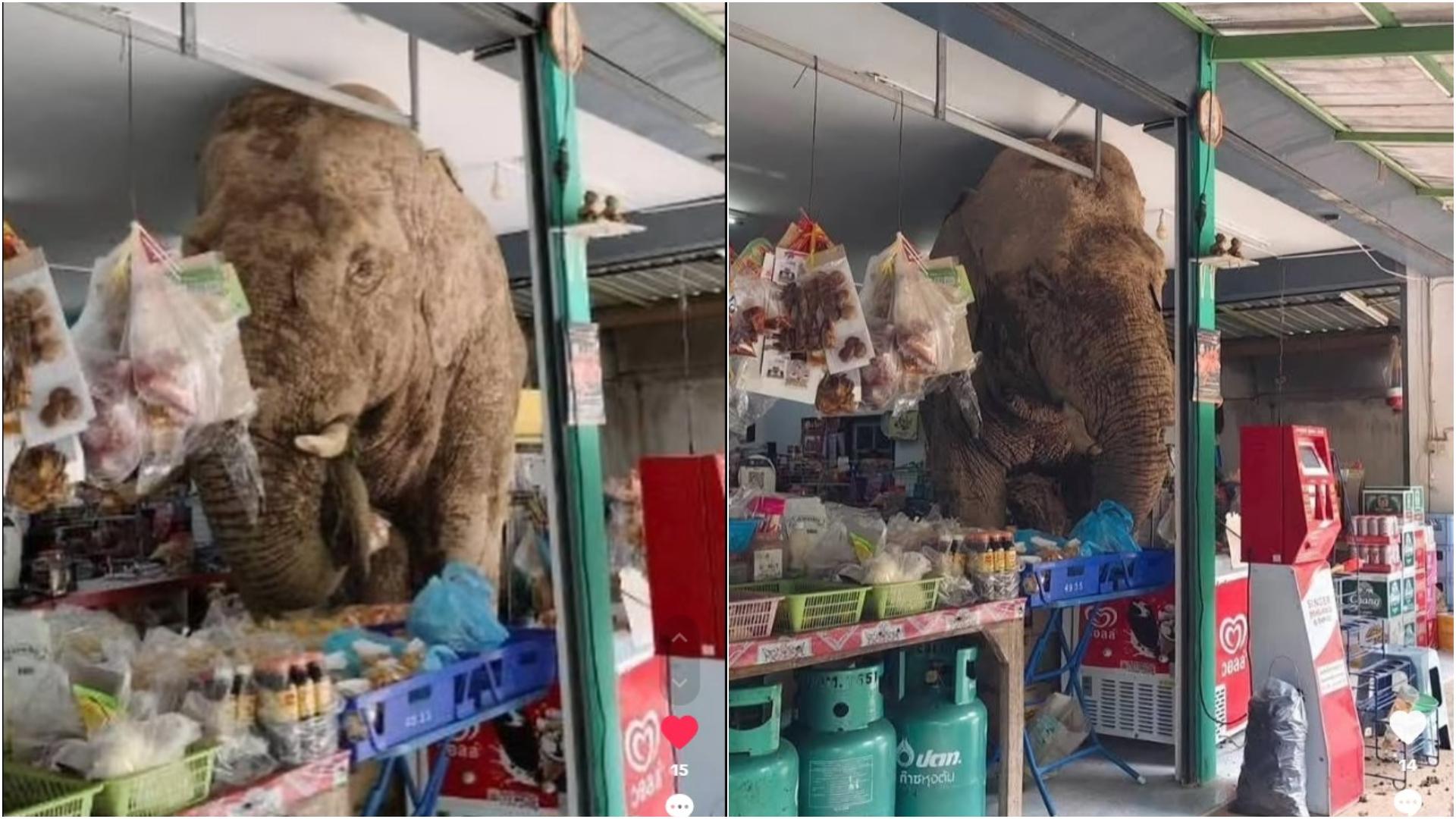 A description of the image