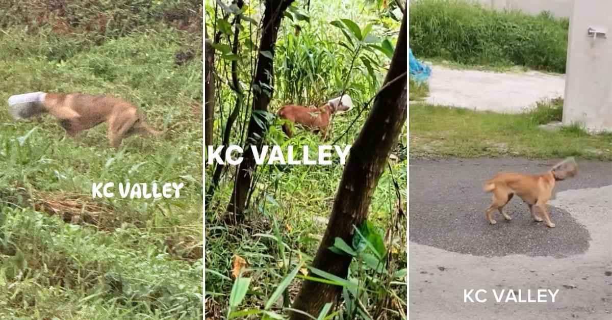 A description of the image