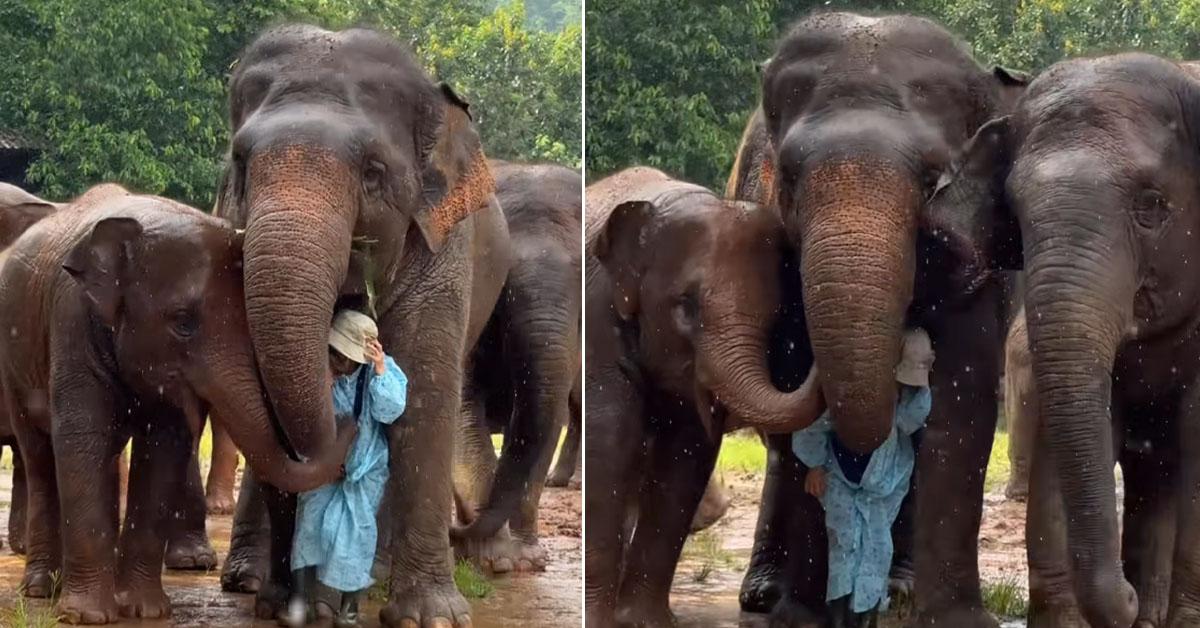 A description of the image