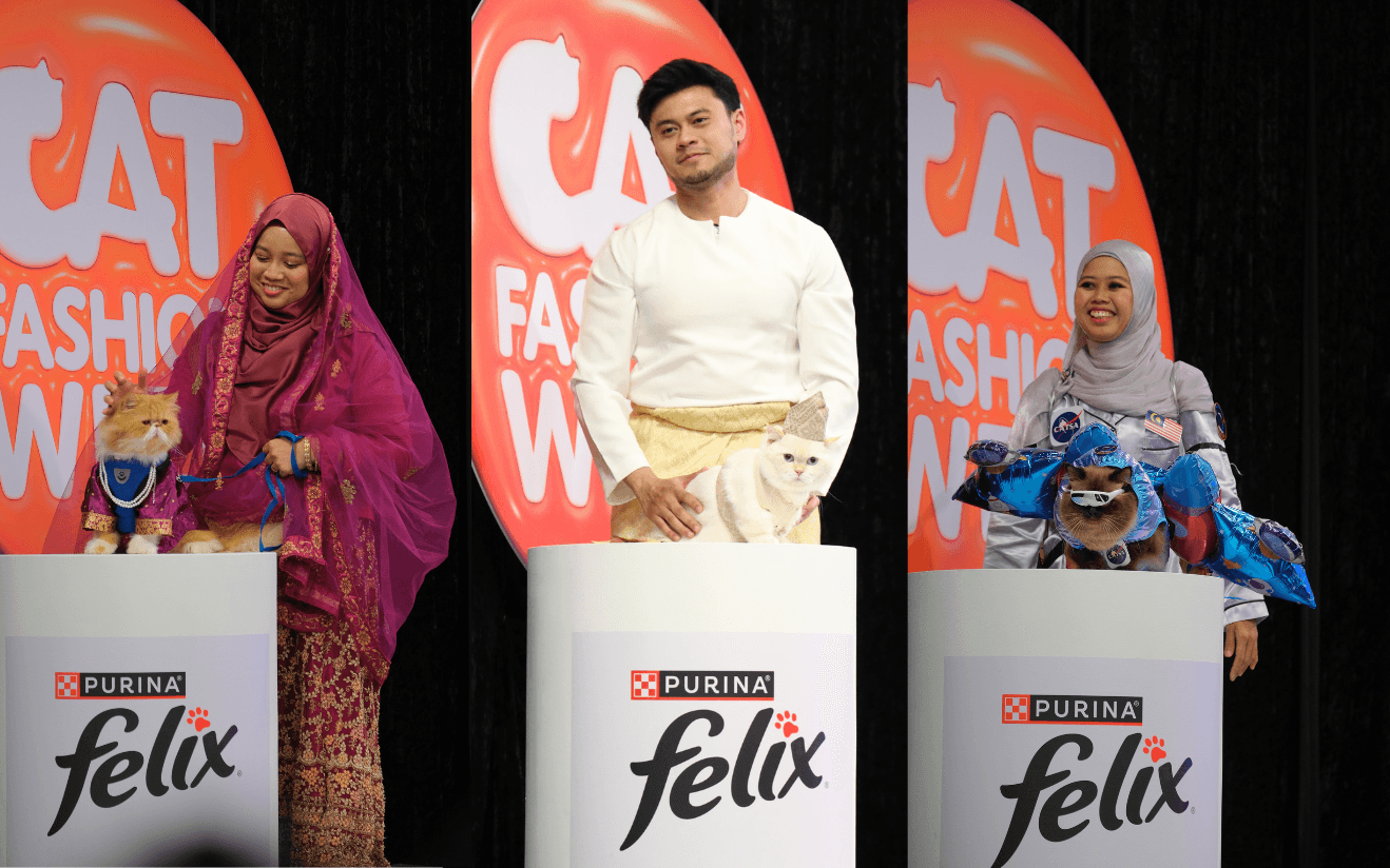 A description of the image