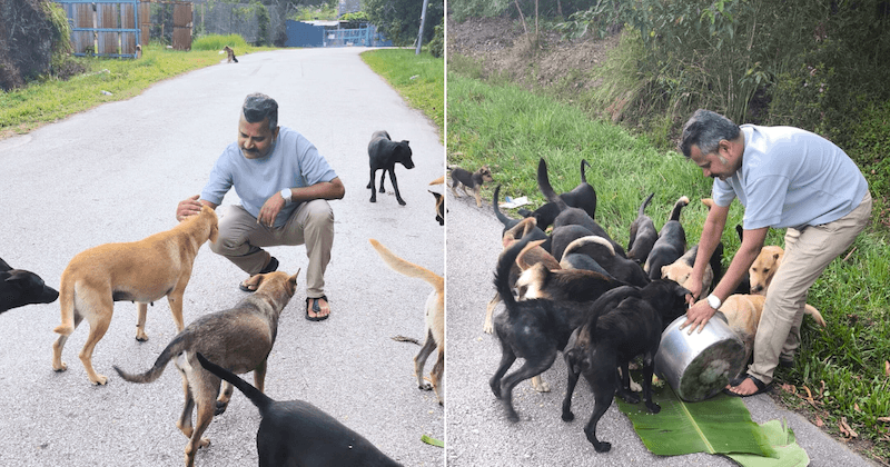 A description of the image