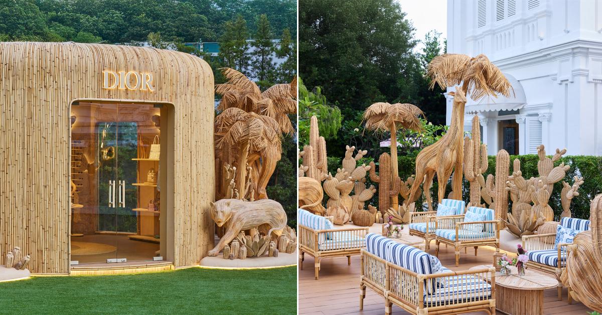 A description of the image