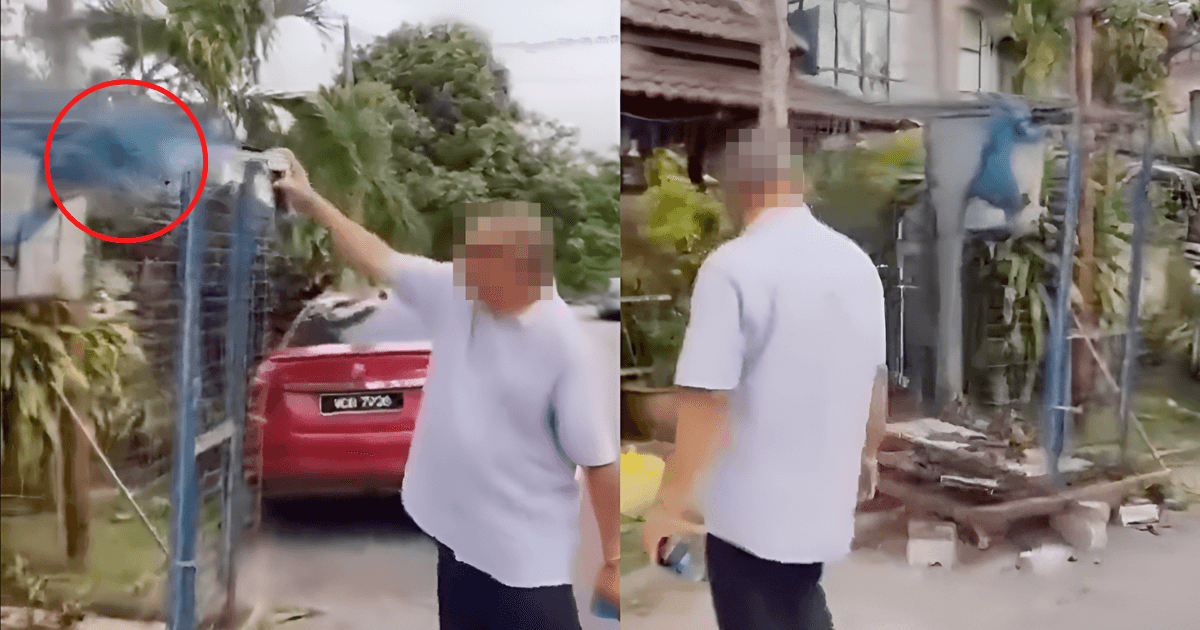 A description of the image