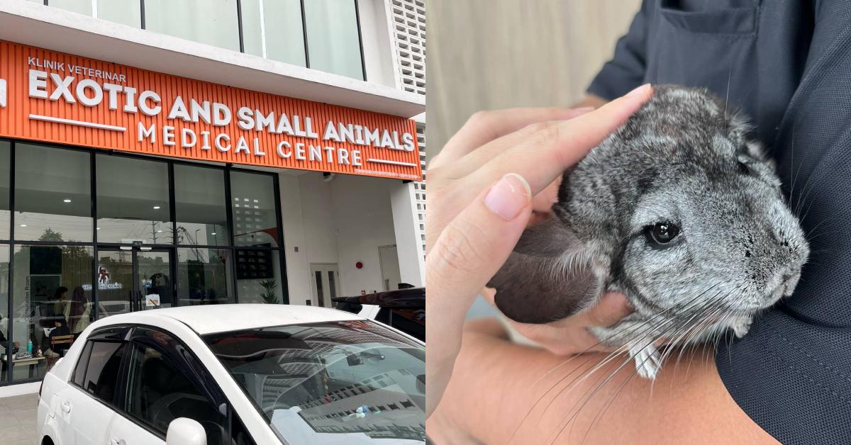 A description of the image