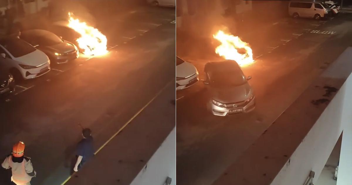 A description of the image