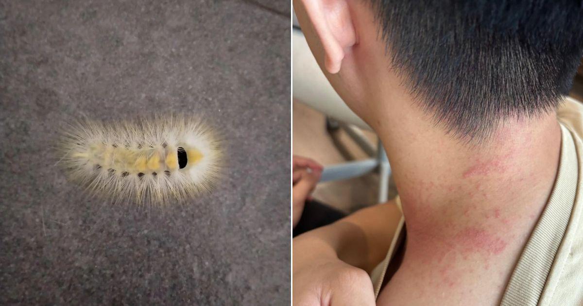 A description of the image