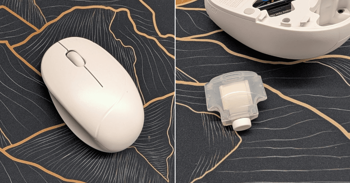 A description of the image