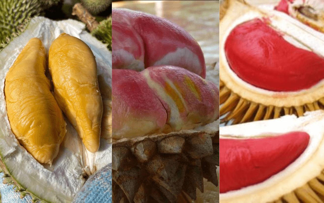 A description of the image