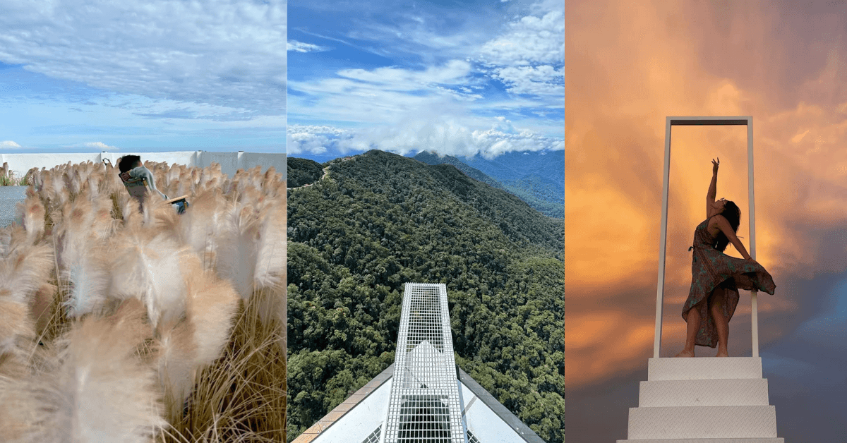 A description of the image