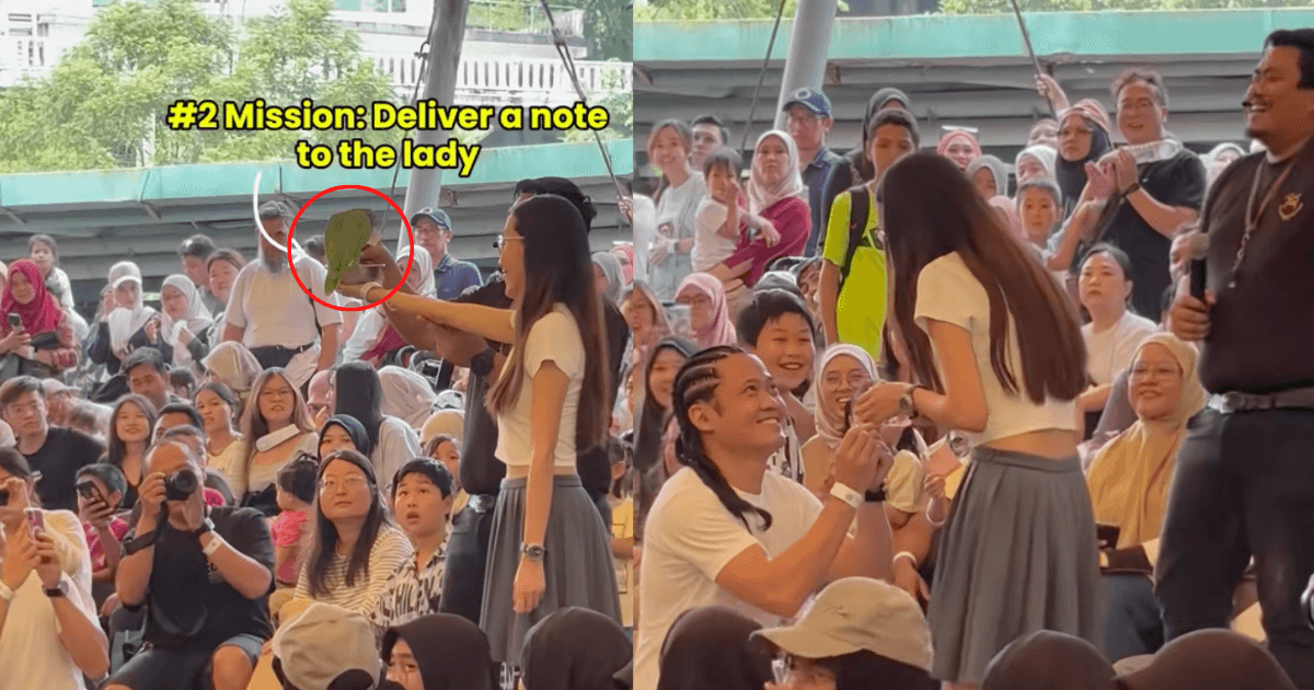 A description of the image