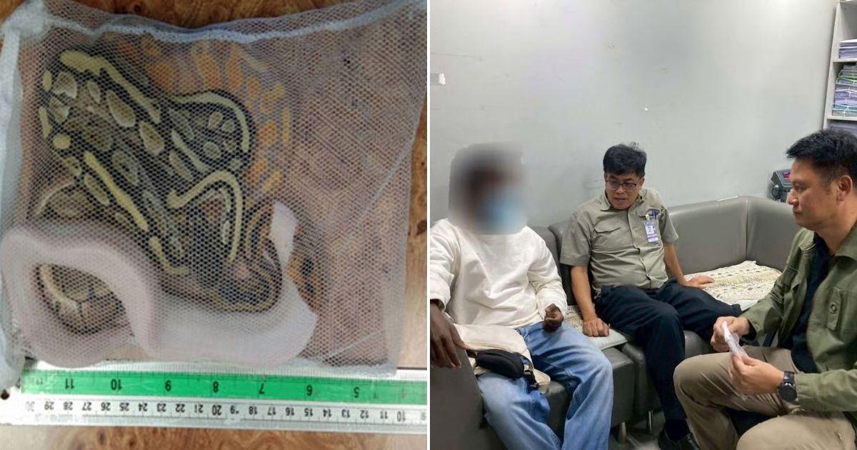 A description of the image