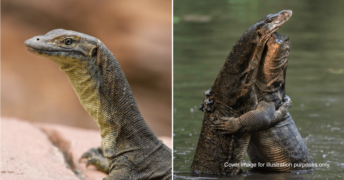 A description of the image