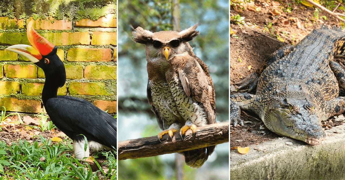 A description of the image