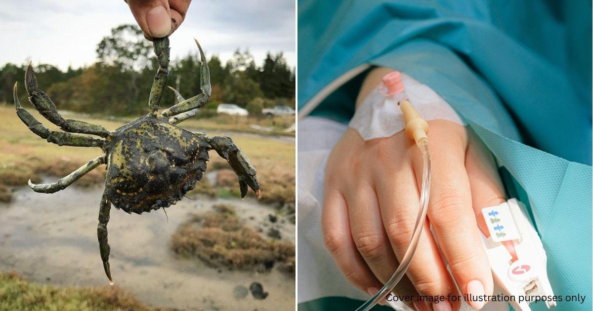 A description of the image